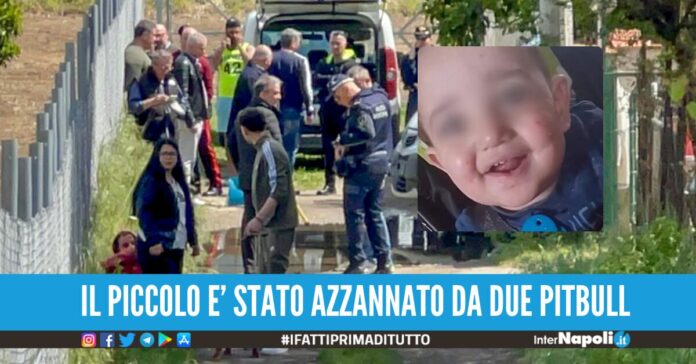 francesco pio azzannato dai pitbull funerali