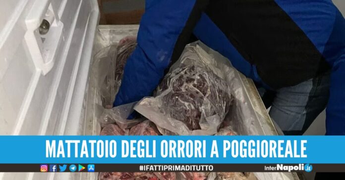 carni lavorate in locali sporchi napoli