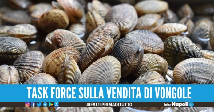 sequestro vongole castellammare
