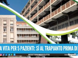 Tre prelievi di organi all’Azienda Ospedaliera dei Colli di Napoli trapiantati cornee, reni e fegato