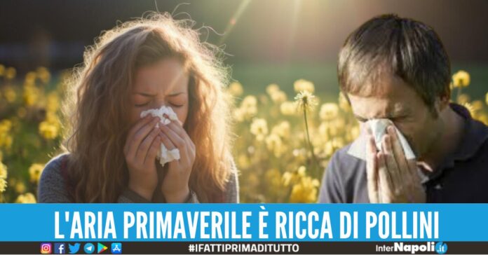 allergia primavera come curare