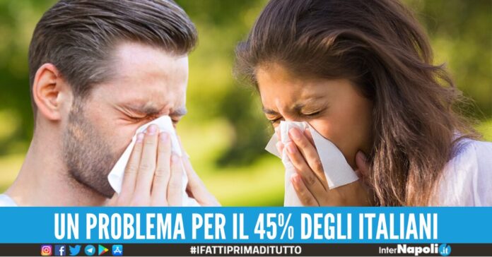 allergia primavera come limitarla
