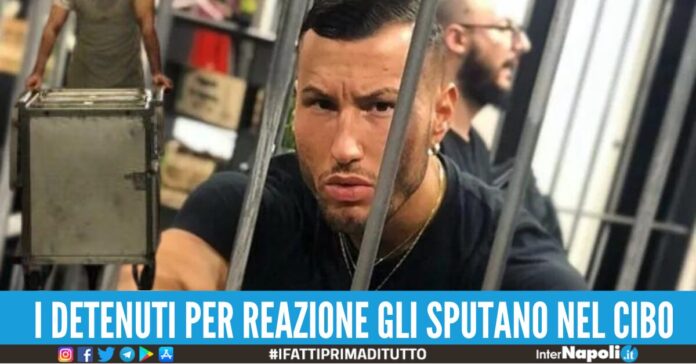 gabriele bianchi willy monteiro