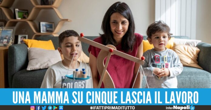 maternità