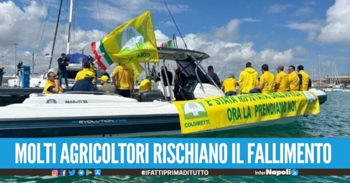 Pomodori made in China sulle tavole italiane, via alle proteste a Salerno