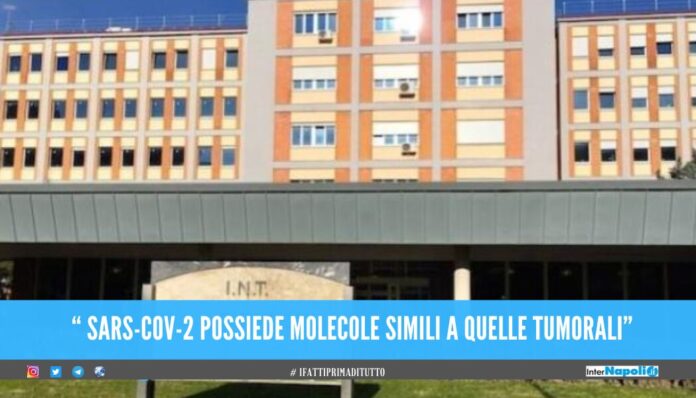 SARS-CoV-2 possiede molecole simili a quelle tumorali