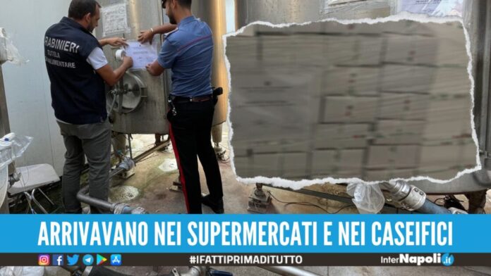 False mozzarelle di bufala campana vendute in Italia e all'estero, 3 indagati nel Casertano