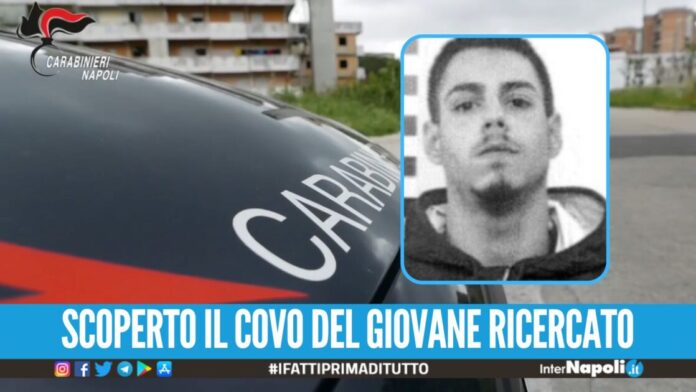 I latitanti non rinunciano ai cani, il retroscena sull'arresto di Abbinante.