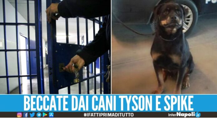 Tentano di portare la droga al detenuto ad Aversa, denunciate mamma e sorella