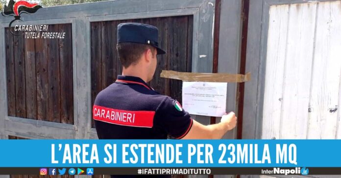 sequestro struttura turistica castellabate