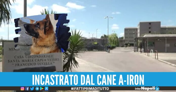 porta la droga al figlio in carcere