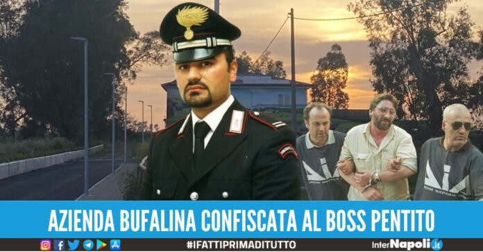 sandokan azienda bufalina