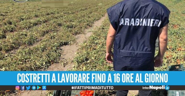 Raid tra Napoli e Caserta, 60 braccianti pagati meno di 2 euro l’ora: 6 arresti