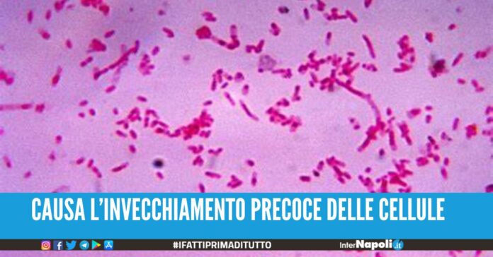 Causa del cancro al colon-retto nei giovani un'alimentazione ricca di zuccheri.