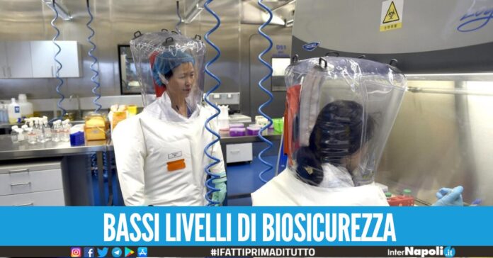 Svelato il perché della diffusione del Covid: Il virus scappò dal laboratorio.