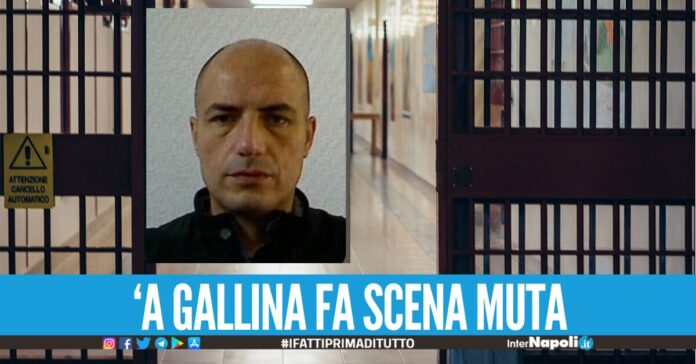 Camorra ed estorsione per il clan Licciardi, scena muta davanti al gip del ras Carella