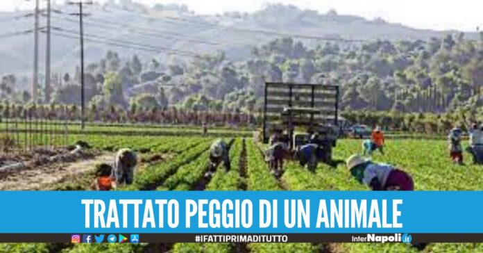 Mutilato e abbandonato, morto il bracciante indiano a Latina