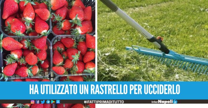 Lite per la vendita delle fragole, tentato omicidio a Crispano arrestato 34enne di Cardito