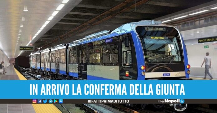 linea 6