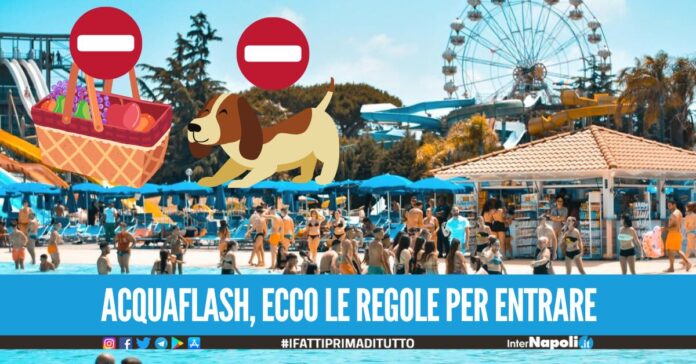 Niente cibo dall'esterno ed entrata gratis per invalidi con 104 e bimbi al di sotto di un metro, le regole di Acquaflash