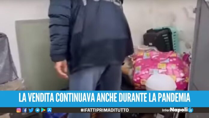Scarcerata la 'regina' dello spaccio della Sanità, i suoi ordini partivano dal cellulare