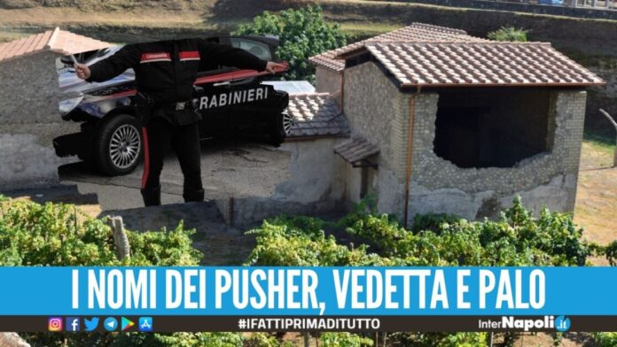 Piazza di spaccio vicino all'antica villa romana, 5 arresti a Boscoreale