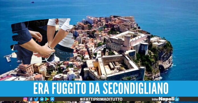 evade dai domiciliari gaeta