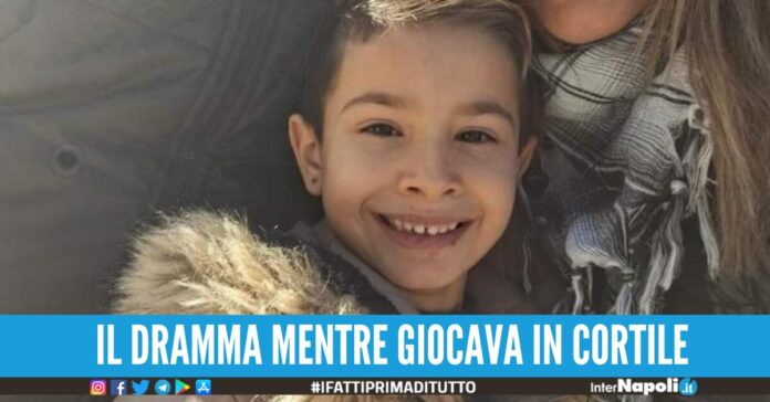 domenico gallucci avellino