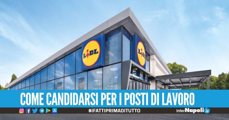 lidl assunzioni