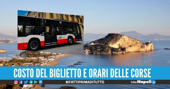 Riparte il bus Vomero-Miseno, novità anche per la Penisola Sorrentina