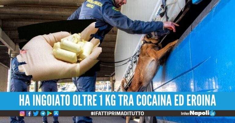 In viaggio da Amsterdam a Napoli con 100 ovuli, fermato un corriere in bus