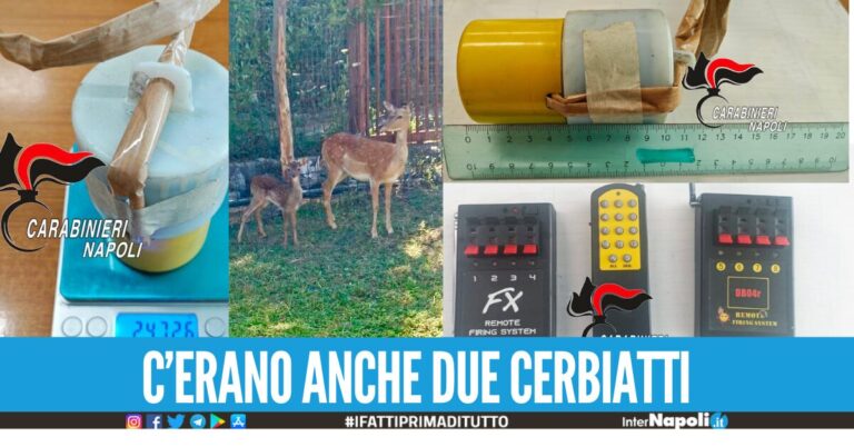 Bombe, droga e una fattoria con animali protetti 3 arresti in provincia di Napoli