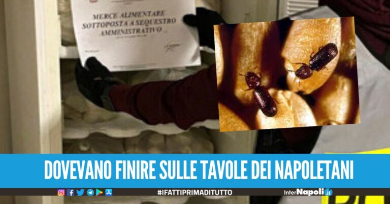 Il locale era adibito a deposito alimentare e presentava gravi carenze igienico-sanitarie: è stata appurata, tra l’altro, la presenza di insetti. Alimenti di origine animale e vegetale, per un peso complessivo di due tonnellate e mezza, sono stati posti sotto sequestr