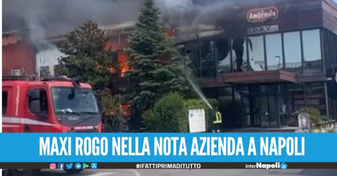 Incendio in una nota azienda di dolci a Napoli, fiamme nella ditta Ambrosio