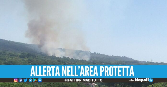 Incendio nel parco nazionale del Vesuvio, elicotteri in volo