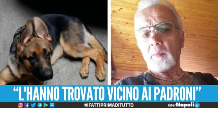 Marito e moglie morti in casa, il cane veglia i corpi per giorni