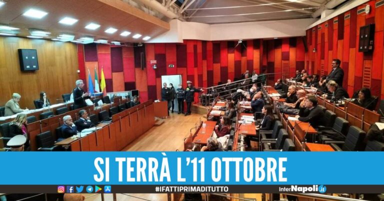 camorra