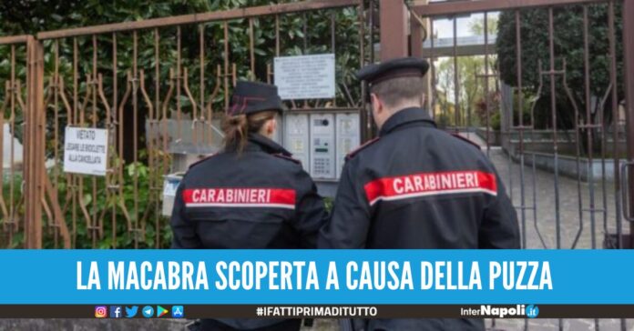 feti