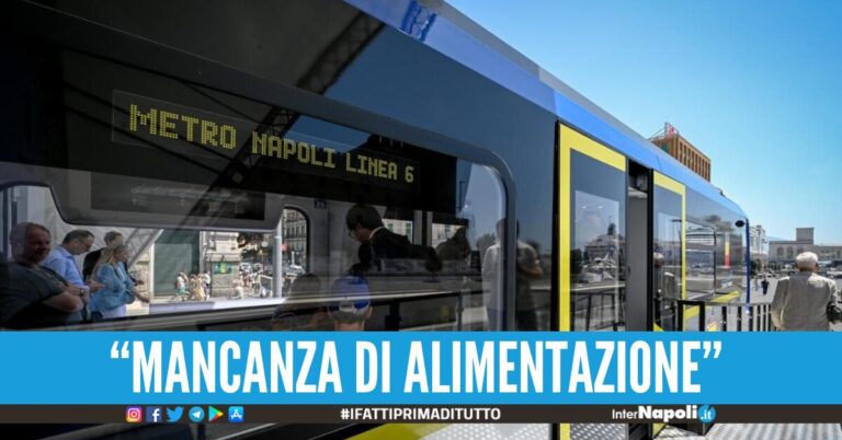 linea 6
