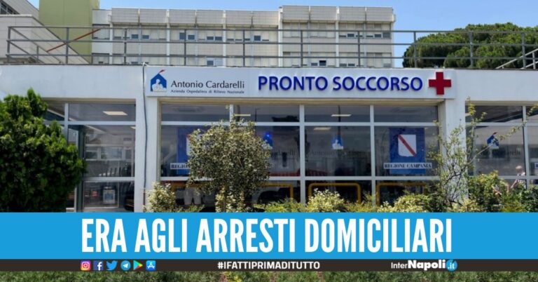 cardarelli
