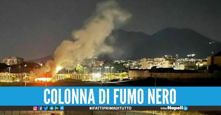 fiamme
