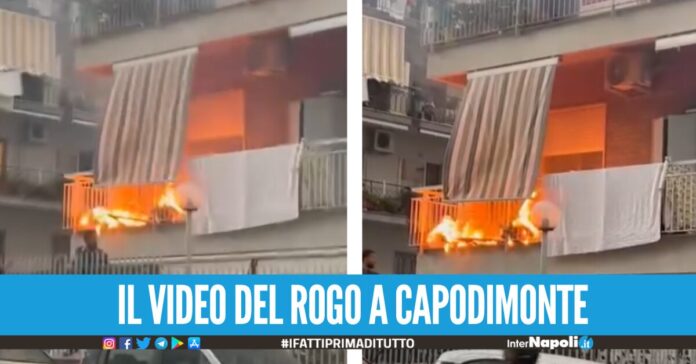 Napoli