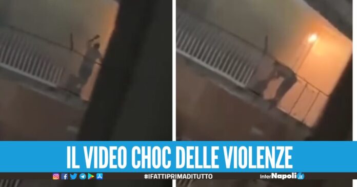 Orrore a Casalnuovo cane lasciato fuori al balcone, bastonato e frustato