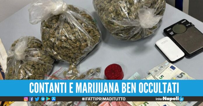 marijuana napoli