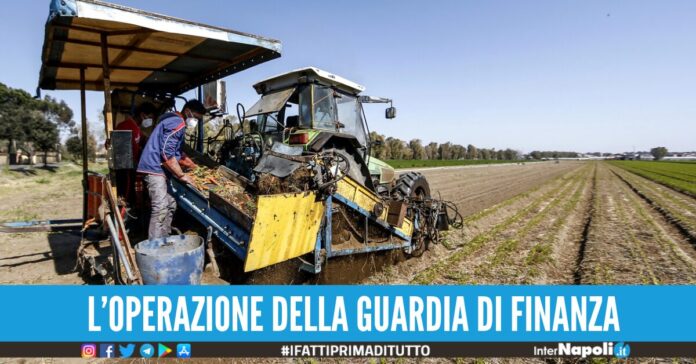 false assunzioni di migranti napoli salerno