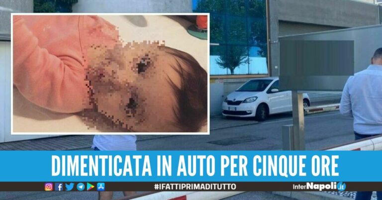 agnese morta in auto venezia