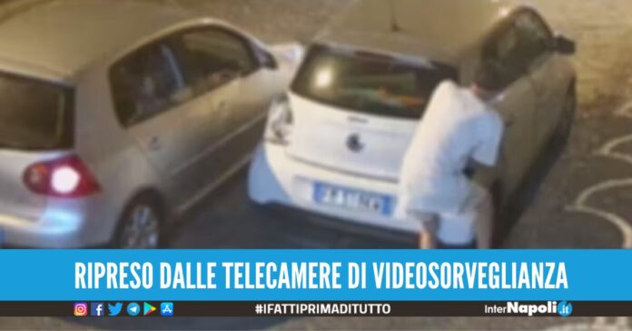 ruba fari smart pollena trocchia