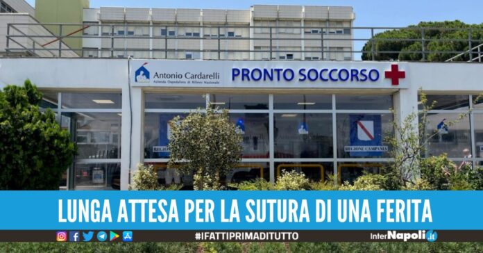 anziana pronto soccorso cardarelli