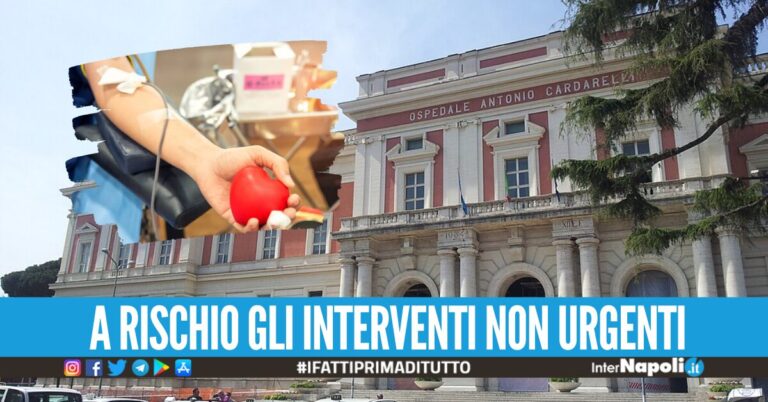 L’appello dal Cardarelli: “Manca sangue gruppo 0, chi può venga a donare”