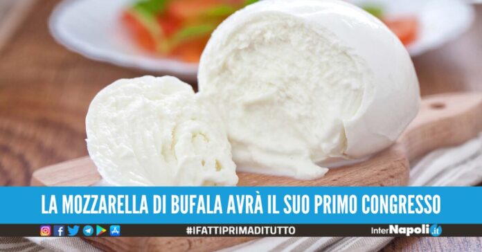 mozzarella di bufala congresso napoli